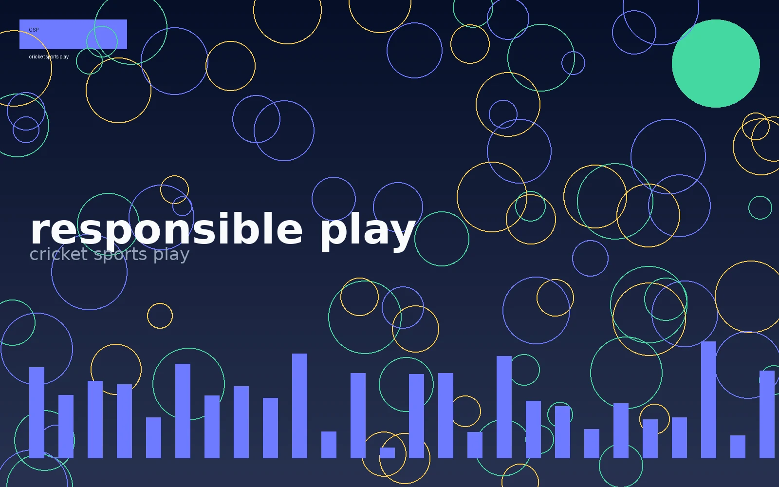 Cricket sports play responsible play visual 3